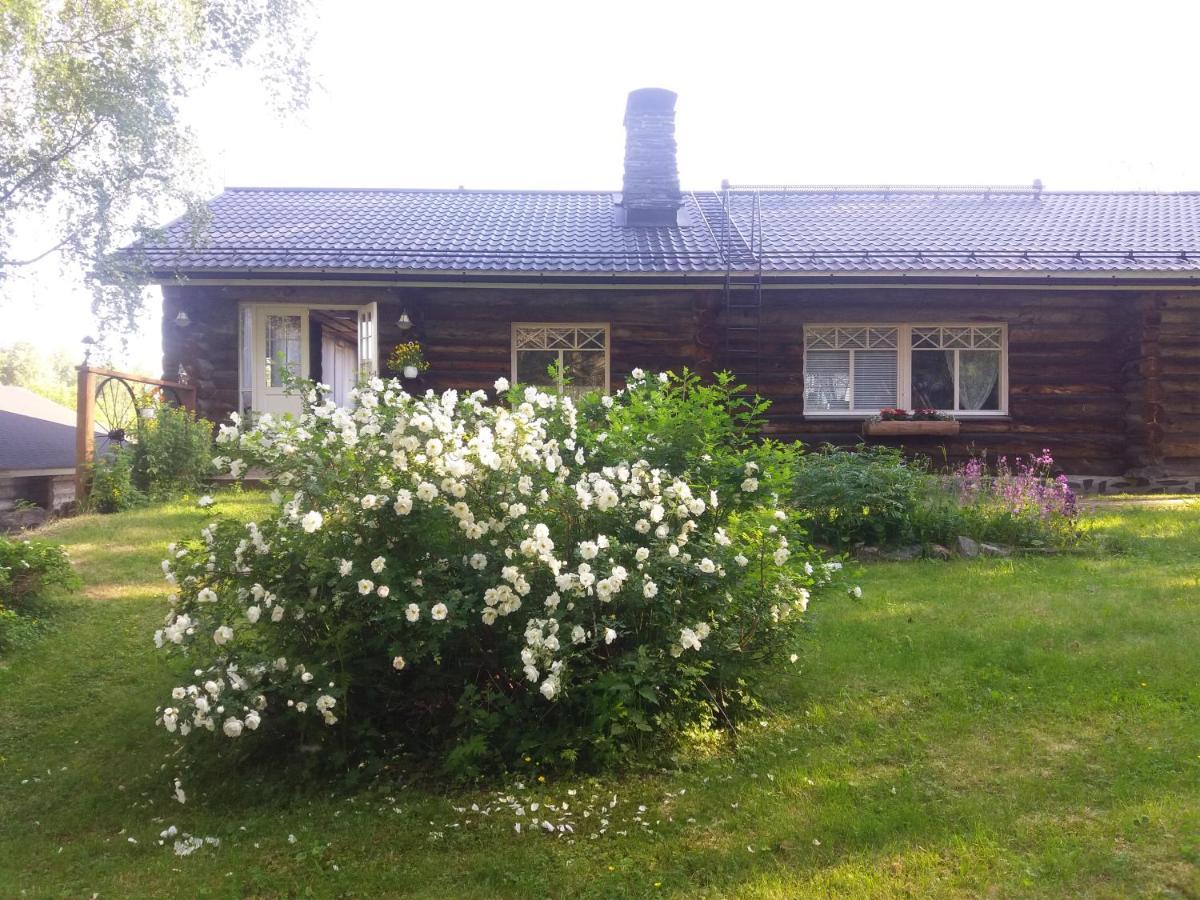 A Room In A Lapland House Of Dreams Rovaniemi Ngoại thất bức ảnh