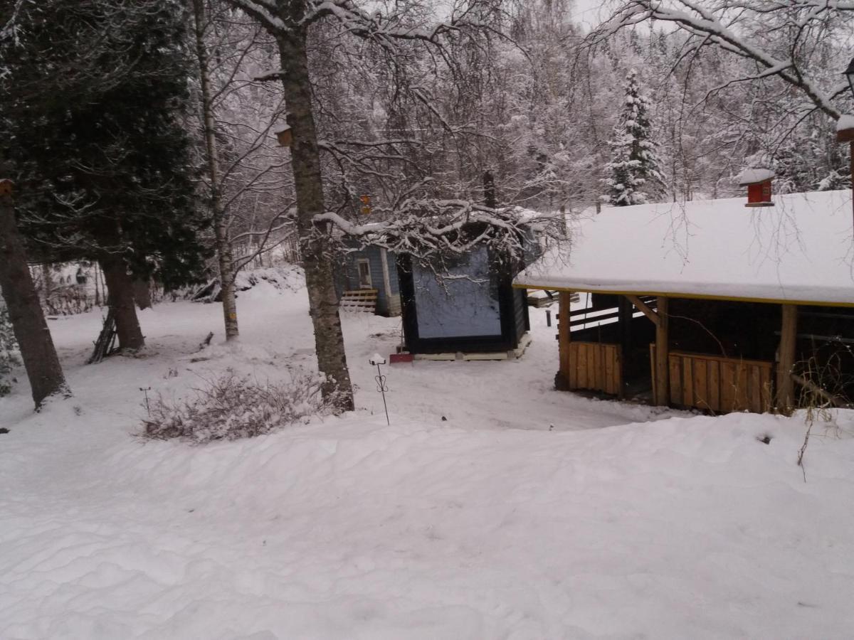 A Room In A Lapland House Of Dreams Rovaniemi Ngoại thất bức ảnh