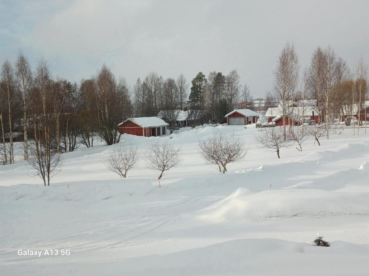 A Room In A Lapland House Of Dreams Rovaniemi Ngoại thất bức ảnh