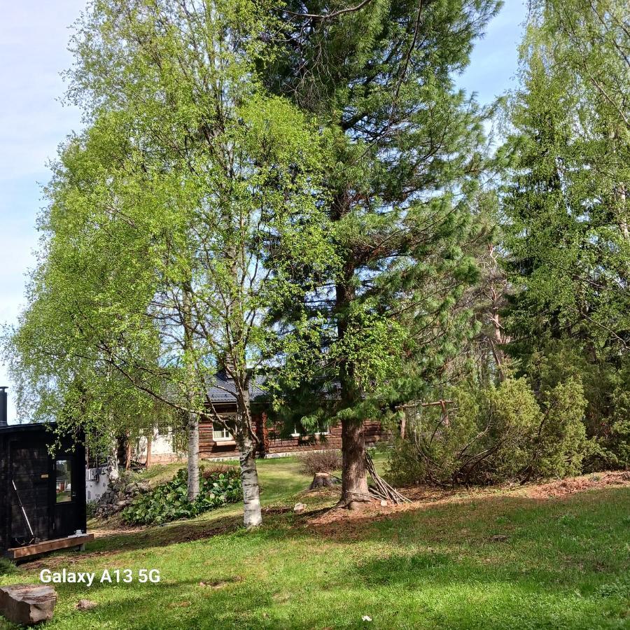 A Room In A Lapland House Of Dreams Rovaniemi Ngoại thất bức ảnh